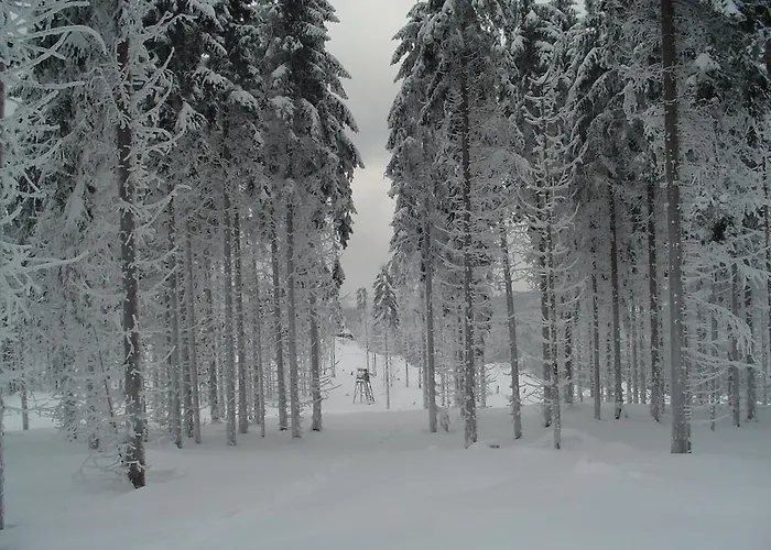 Apartment Und Bistro Zum Glasmacher