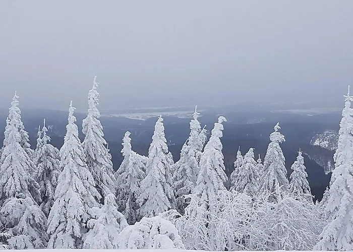 Apartament Und Bistro Zum Glasmacher *